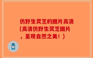 仿野生灵芝的图片高清(高清仿野生灵芝图片，呈现自然之美！)