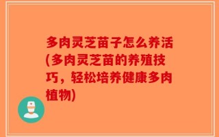 多肉灵芝苗子怎么养活(多肉灵芝苗的养殖技巧，轻松培养健康多肉植物)