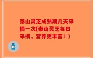 泰山灵芝成熟期几天采摘一次(泰山灵芝每日采摘，营养更丰富！)