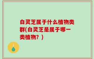 白灵芝属于什么植物类群(白灵芝是属于哪一类植物？)