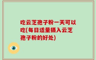 吃云芝孢子粉一天可以吃(每日适量摄入云芝孢子粉的好处)