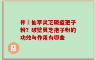 神佁仙草灵芝破壁孢子粉？破壁灵芝孢子粉的功效与作用有哪些