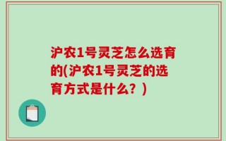 沪农1号灵芝怎么选育的(沪农1号灵芝的选育方式是什么？)