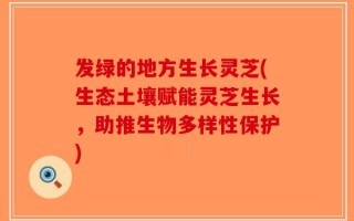 发绿的地方生长灵芝(生态土壤赋能灵芝生长，助推生物多样性保护)