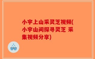 小宇上山采灵芝视频(小宇山间探寻灵芝 采集视频分享)