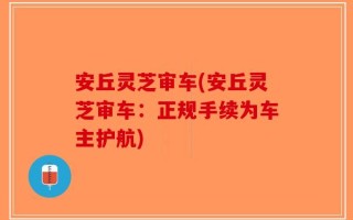 安丘灵芝审车(安丘灵芝审车：正规手续为车主护航)