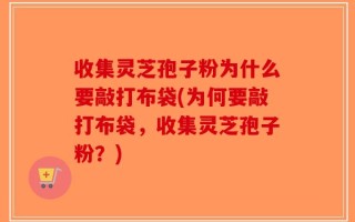 收集灵芝孢子粉为什么要敲打布袋(为何要敲打布袋，收集灵芝孢子粉？)