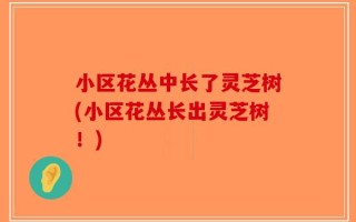 小区花丛中长了灵芝树(小区花丛长出灵芝树！)