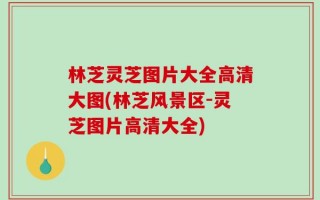 林芝灵芝图片大全高清大图(林芝风景区-灵芝图片高清大全)