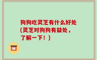 狗狗吃灵芝有什么好处(灵芝对狗狗有益处，了解一下！)