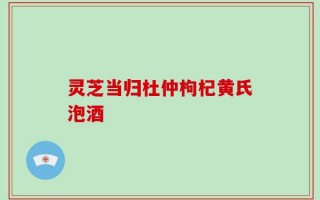 灵芝当归杜仲枸杞黄氏泡酒