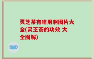 灵芝茶有啥用啊图片大全(灵芝茶的功效 大全图解)