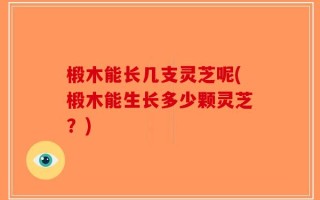 椴木能长几支灵芝呢(椴木能生长多少颗灵芝？)