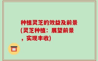 种植灵芝的效益及前景(灵芝种植：展望前景，实现丰收)
