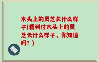 木头上的灵芝长什么样子(看到过木头上的灵芝长什么样子，你知道吗？)