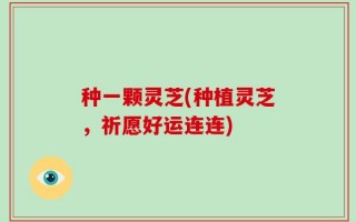 种一颗灵芝(种植灵芝，祈愿好运连连)