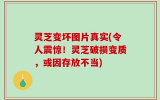 灵芝变坏图片真实(令人震惊！灵芝破损变质，或因存放不当)