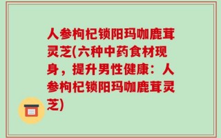 人参枸杞锁阳玛咖鹿茸灵芝(六种中药食材现身，提升男性健康：人参枸杞锁阳玛咖鹿茸灵芝)
