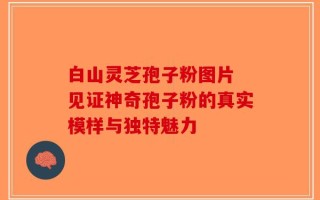 白山灵芝孢子粉图片 见证神奇孢子粉的真实模样与独特魅力