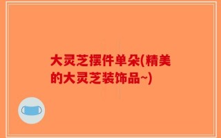 大灵芝摆件单朵(精美的大灵芝装饰品~)