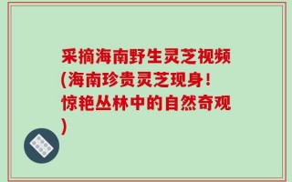 采摘海南野生灵芝视频(海南珍贵灵芝现身！惊艳丛林中的自然奇观)