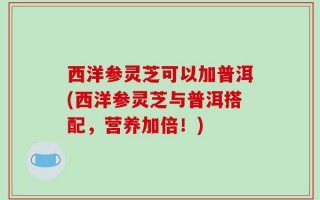 西洋参灵芝可以加普洱(西洋参灵芝与普洱搭配，营养加倍！)