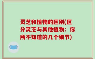 灵芝和植物的区别(区分灵芝与其他植物：你所不知道的几个细节)