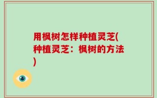 用枫树怎样种植灵芝(种植灵芝：枫树的方法)