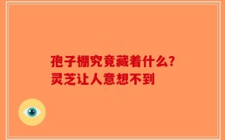 孢子棚究竟藏着什么？灵芝让人意想不到