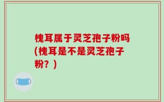 槐耳属于灵芝孢子粉吗(槐耳是不是灵芝孢子粉？)