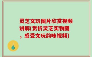 灵芝文玩图片欣赏视频讲解(赏析灵芝实物图，感受文玩韵味视频)