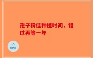孢子粉佳种植时间，错过再等一年