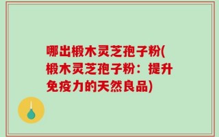 哪出椴木灵芝孢子粉(椴木灵芝孢子粉：提升免疫力的天然良品)