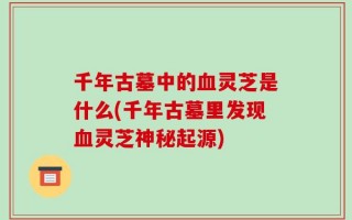 千年古墓中的血灵芝是什么(千年古墓里发现血灵芝神秘起源)