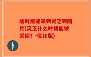 啥时候能采到灵芝呢图片(灵芝什么时候能被采摘？-优化版)