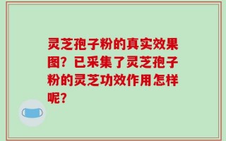 灵芝孢子粉的真实效果图？已采集了灵芝孢子粉的灵芝功效作用怎样呢？