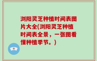 浏阳灵芝种植时间表图片大全(浏阳灵芝种植时间表全景，一张图看懂种植季节。)