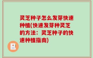 灵芝种子怎么发芽快速种植(快速发芽种灵芝的方法：灵芝种子的快速种植指南)