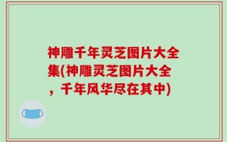 神雕千年灵芝图片大全集(神雕灵芝图片大全，千年风华尽在其中)