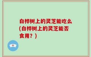 白桦树上的灵芝能吃么(白桦树上的灵芝能否食用？)