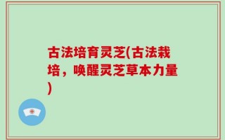 古法培育灵芝(古法栽培，唤醒灵芝草本力量)