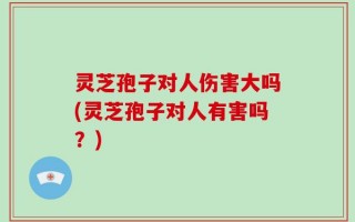 灵芝孢子对人伤害大吗(灵芝孢子对人有害吗？)