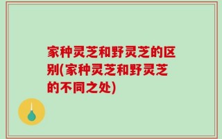 家种灵芝和野灵芝的区别(家种灵芝和野灵芝的不同之处)