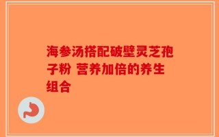 海参汤搭配破壁灵芝孢子粉 营养加倍的养生组合