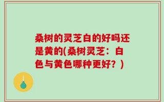 桑树的灵芝白的好吗还是黄的(桑树灵芝：白色与黄色哪种更好？)