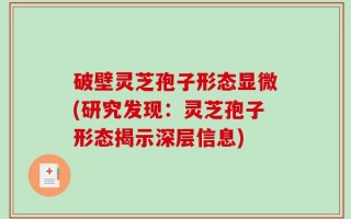 破壁灵芝孢子形态显微(研究发现：灵芝孢子形态揭示深层信息)