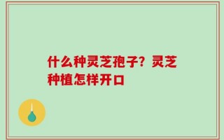 什么种灵芝孢子？灵芝种植怎样开口
