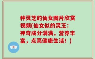 种灵芝的仙女图片欣赏视频(仙女似的灵芝：神奇成分满满，营养丰富，点亮健康生活！)