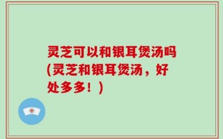 灵芝可以和银耳煲汤吗(灵芝和银耳煲汤，好处多多！)