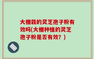 大棚栽的灵芝孢子粉有效吗(大棚种植的灵芝孢子粉是否有效？)